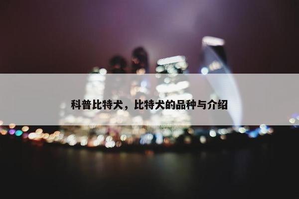 科普比特犬，比特犬的品种与介绍