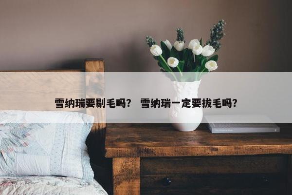 雪纳瑞要剔毛吗？ 雪纳瑞一定要拔毛吗？