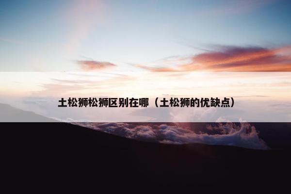 土松狮松狮区别在哪（土松狮的优缺点）