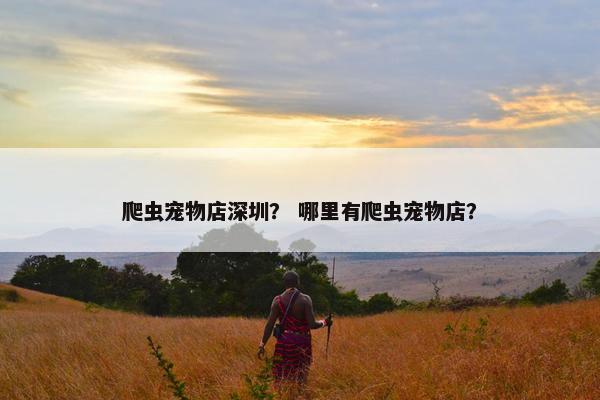 爬虫宠物店深圳？ 哪里有爬虫宠物店？