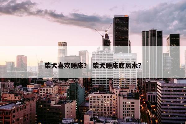 柴犬喜欢睡床？ 柴犬睡床底风水？