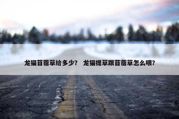 龙猫苜蓿草给多少？ 龙猫提草跟苜蓿草怎么喂？