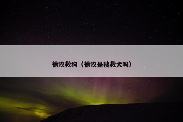 德牧救狗（德牧是搜救犬吗）