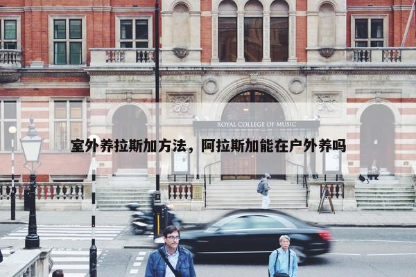 室外养拉斯加方法，阿拉斯加能在户外养吗