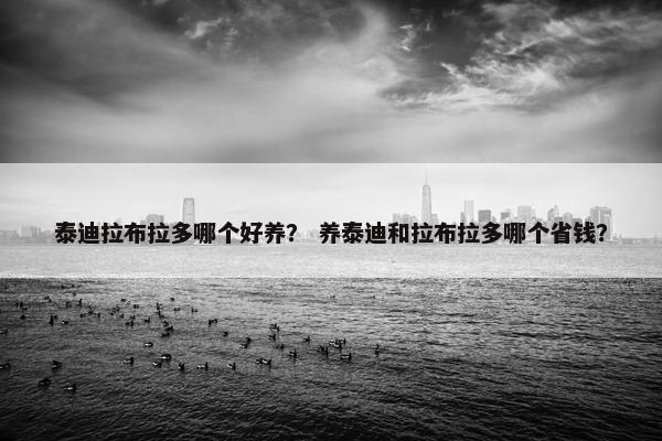 泰迪拉布拉多哪个好养？ 养泰迪和拉布拉多哪个省钱？