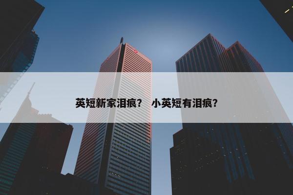 英短新家泪痕？ 小英短有泪痕？