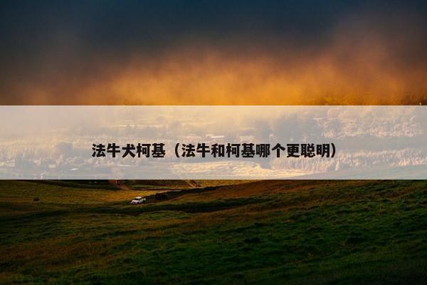 法牛犬柯基（法牛和柯基哪个更聪明）