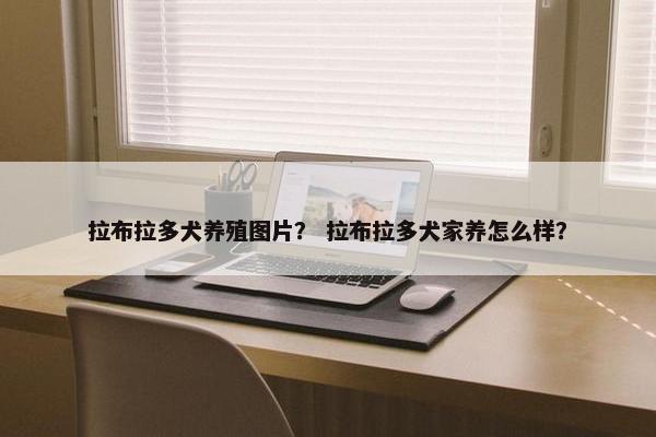 拉布拉多犬养殖图片？ 拉布拉多犬家养怎么样？
