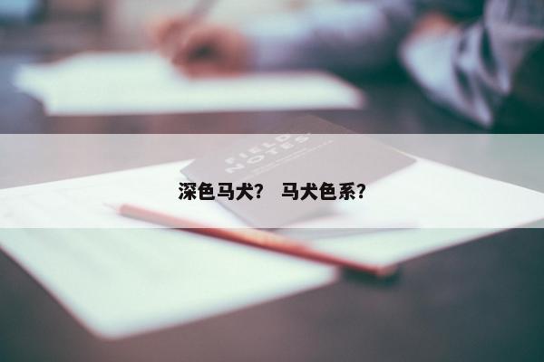 深色马犬？ 马犬色系？