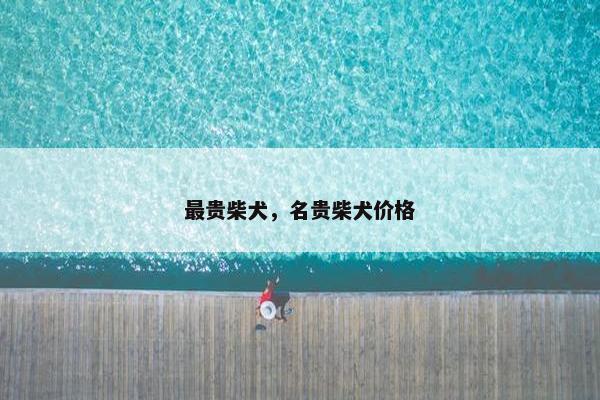 最贵柴犬，名贵柴犬价格