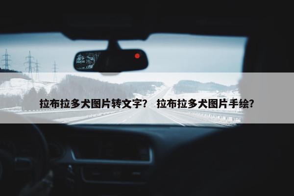 拉布拉多犬图片转文字？ 拉布拉多犬图片手绘？