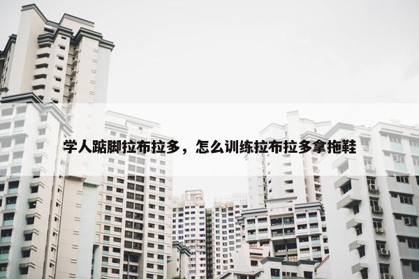 学人踮脚拉布拉多，怎么训练拉布拉多拿拖鞋