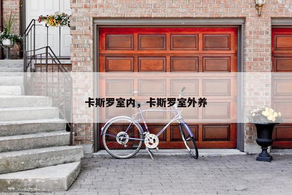 卡斯罗室内，卡斯罗室外养