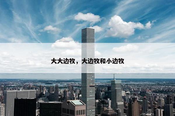 大大边牧，大边牧和小边牧