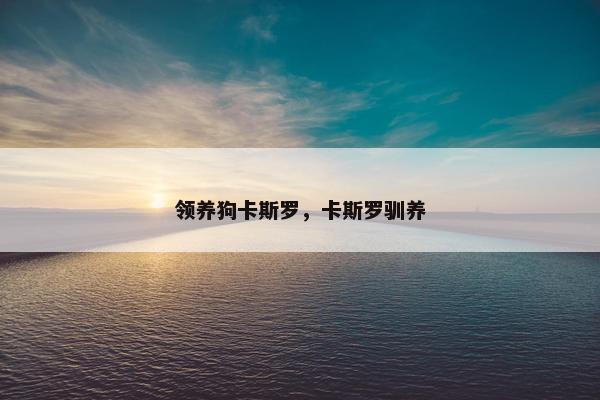 领养狗卡斯罗，卡斯罗驯养