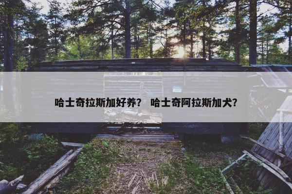 哈士奇拉斯加好养？ 哈士奇阿拉斯加犬？