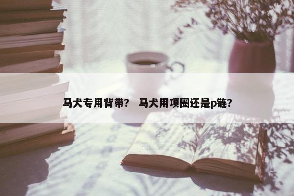 马犬专用背带？ 马犬用项圈还是p链？