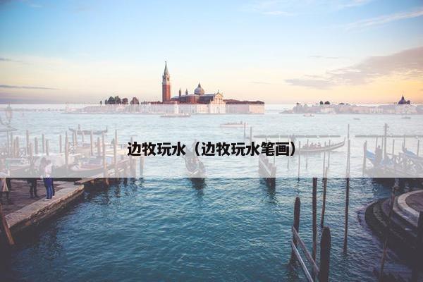 边牧玩水（边牧玩水笔画）