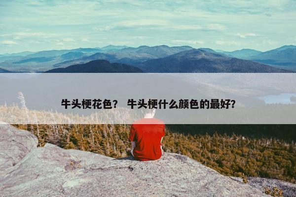 牛头梗花色？ 牛头梗什么颜色的最好？