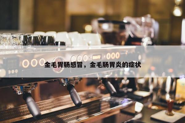金毛胃肠感冒，金毛肠胃炎的症状