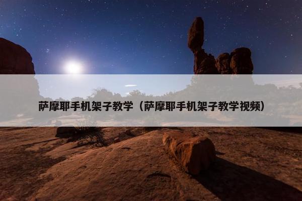 萨摩耶手机架子教学（萨摩耶手机架子教学视频）