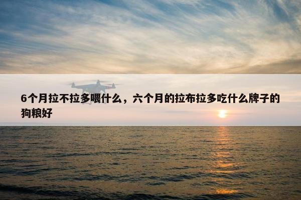 6个月拉不拉多喂什么，六个月的拉布拉多吃什么牌子的狗粮好