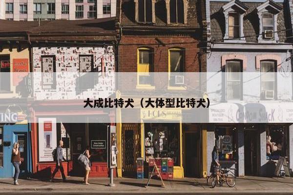 大成比特犬（大体型比特犬）