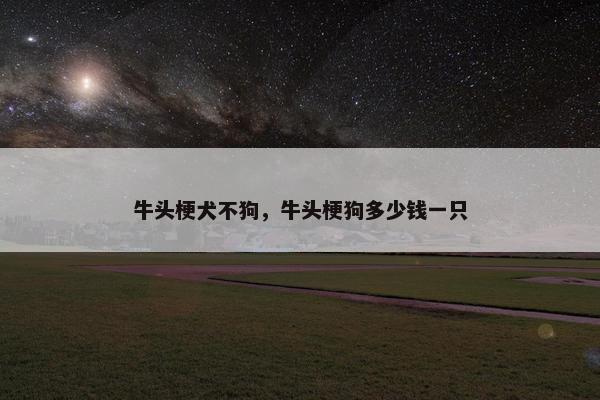 牛头梗犬不狗，牛头梗狗多少钱一只