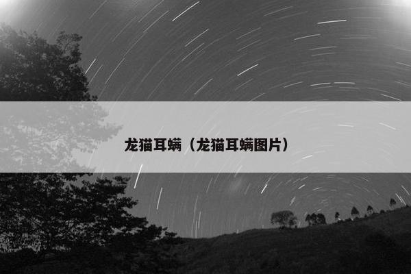 龙猫耳螨（龙猫耳螨图片）
