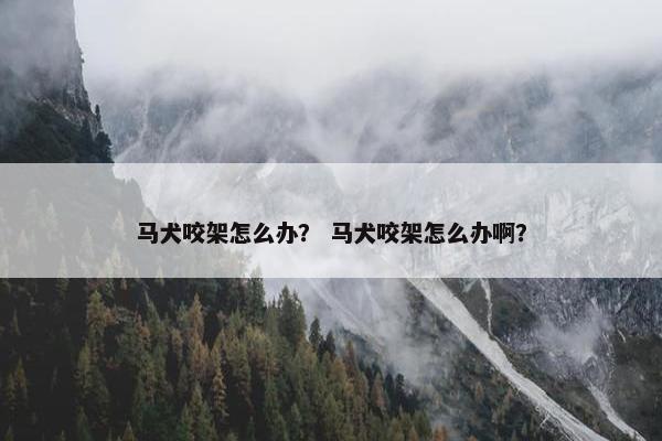 马犬咬架怎么办？ 马犬咬架怎么办啊？
