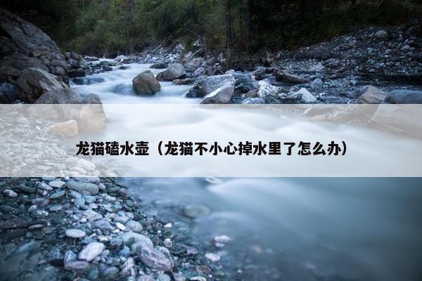 龙猫磕水壶（龙猫不小心掉水里了怎么办）