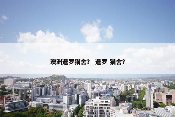 澳洲暹罗猫舍？ 暹罗 猫舍？