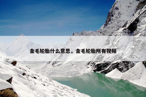 金毛轮胎什么意思，金毛轮胎所有视频