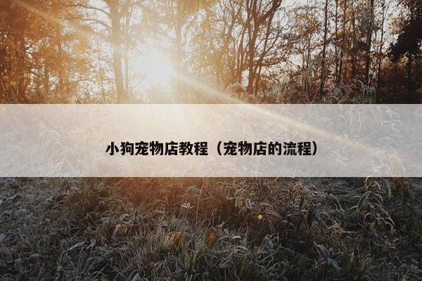 小狗宠物店教程（宠物店的流程）