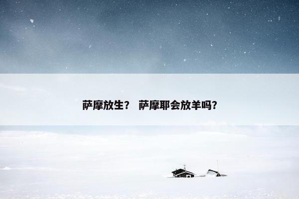 萨摩放生？ 萨摩耶会放羊吗？