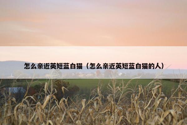 怎么亲近英短蓝白猫（怎么亲近英短蓝白猫的人）