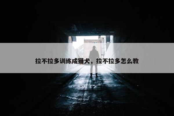 拉不拉多训练成猎犬，拉不拉多怎么教