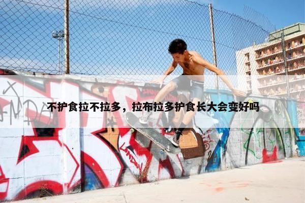 不护食拉不拉多，拉布拉多护食长大会变好吗