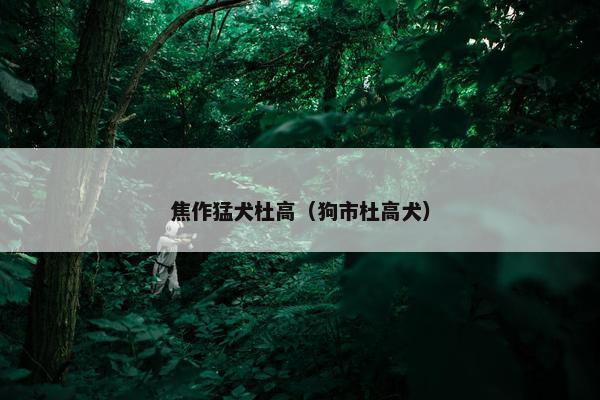 焦作猛犬杜高（狗市杜高犬）
