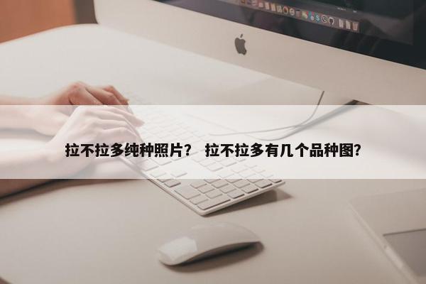 拉不拉多纯种照片？ 拉不拉多有几个品种图？