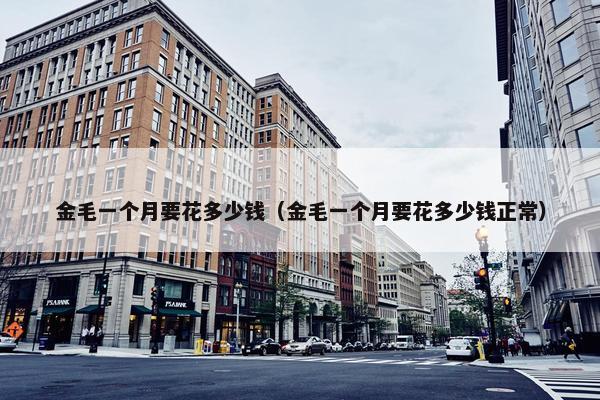 金毛一个月要花多少钱（金毛一个月要花多少钱正常）