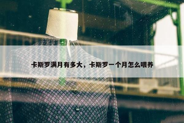 卡斯罗满月有多大，卡斯罗一个月怎么喂养