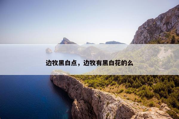 边牧黑白点，边牧有黑白花的么