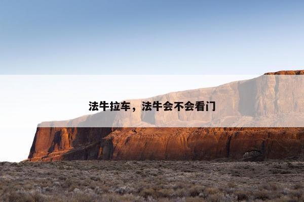 法牛拉车，法牛会不会看门