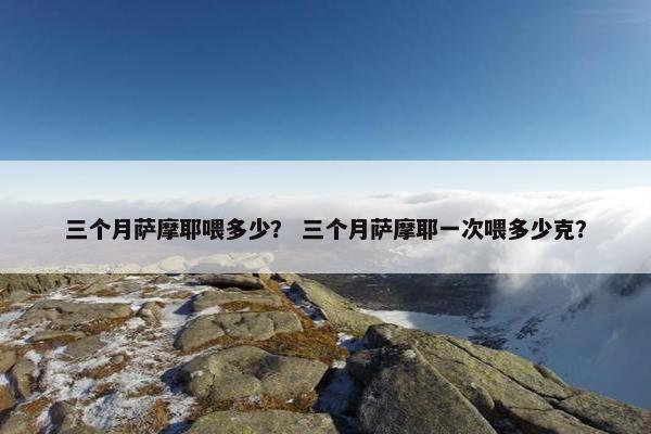 三个月萨摩耶喂多少？ 三个月萨摩耶一次喂多少克？