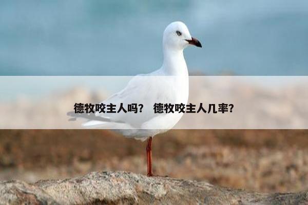 德牧咬主人吗？ 德牧咬主人几率？