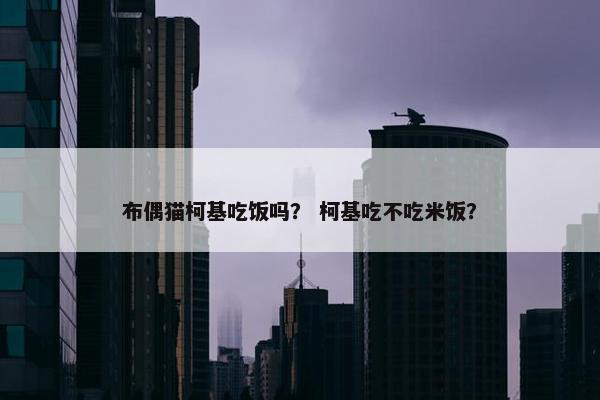 布偶猫柯基吃饭吗？ 柯基吃不吃米饭？