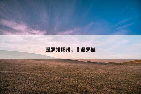 暹罗猫扬州， 暹罗猫