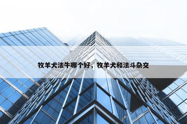 牧羊犬法牛哪个好，牧羊犬和法斗杂交