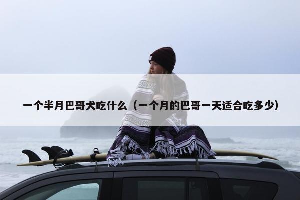 一个半月巴哥犬吃什么（一个月的巴哥一天适合吃多少）